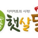 햇살두부