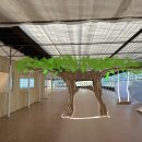 킴스베리 이미지