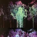 2018 미디어월 쇼케이스 4WALLS | ::gallery숨::기획초대전:: PLATFORM_2019 강영은 &lt;숲결&gt;