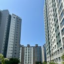 오빠네일 위례본점 | 위례네일 오빠네일위례본점 이달의아트 패디큐어 후기