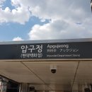 강남 신사동 압구정역 3분 바이오 에듀테크 교육사업 블로그마케팅 사무실 임대 관련 웹주소 안내(20220627) 이미지