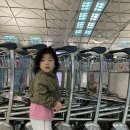 원일어린이집 | 30개월 아기랑 나트랑 4박6일 후기(일정,경비)