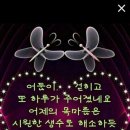 장미문구