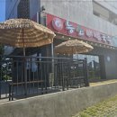 제주달곰 이미지