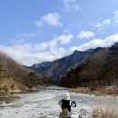 석천농로 이미지