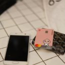 주례 도쿠도쿠 이미지