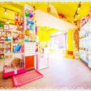 개네가 고양이네 이미지