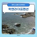 코바위민박 | 영덕스노쿨링 해루질 스팟 : 강구항펜션 락엔라이프펜션