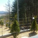 엘모로양평 이미지