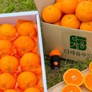 제주아이푸드