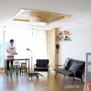 일러스트레이터 이미지