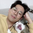 주식회사 냥냥펀치 | 유튜버 미야옹철 방석과 캣타워 보면서 지식만 늘어간다.
