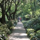 한라수목원 이미지