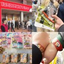 생선파는고양이 | 코엑스 고양이 박람회 '가낳지모 캣페어' 토요일 방문 후기! #내돈내산