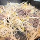 평창우선생