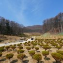 지수목장 이미지