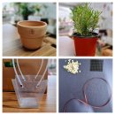 진해냉천중학교 이미지