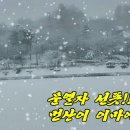 춘설(春雪) 이미지교체 이미지