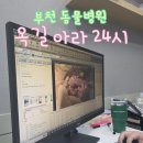 아라양돈동물병원 | 부천 24시 동물병원 옥길아라 강아지 건강검진 + 방광 돌빼기 수술, 스케일링 내돈내산