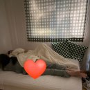 연담원 네이버블로그