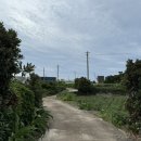 팔월의라 민박 이미지