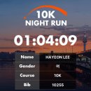 서초역 2호선 | 2025 서울 잠수교 나이트런 10k 완주 기록 코스 첫 혼자 마라톤 후기 🏃🏻‍♀️
