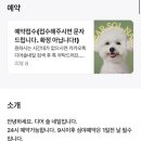 디어솔네일