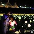 여우쉼터 이미지