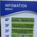 이사금치과의원 네이버블로그