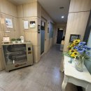 돌아본 공간 | 안양심리상담센터 ㅣ 라함심리상담센터 후기, 차분하게 나를 돌아본 시간