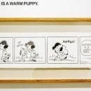 Happiness puppy 이미지