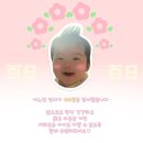 떡이랑시루랑 | 일산 시루랑 백일떡 내돈내산후기