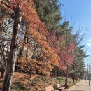 하누동물병원 이미지