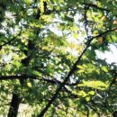 알프스여관 이미지