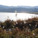 수운정 | 나주 수운정(岫雲亭)-2