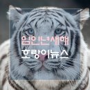 2022 임인년 새해 검은호랑이 뉴스·호랑이 마케팅! 실제 검은호랑이 확인해보세요!