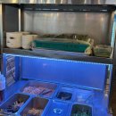 여의동주민센터 앞 | 전주 여의동맛집 동산동맛집 삼겹살추천 꿀순이꿀돌이 동산점