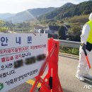 도진농장 이미지