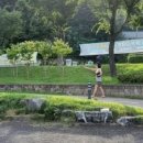 제일교회 뒤 이미지