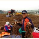 학진농장 이미지