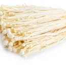 스타휘트니스 이미지