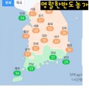 영월한반도농장 네이버블로그