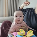 청정에너지 | 신생아 가습기 추천, 아이닉 대용량 공기청정 자연 기화식 가습기 iAH01 구매 후기.