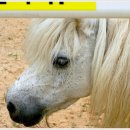 원당목장 이미지