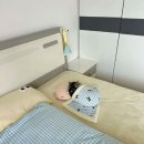향도 Daum카페