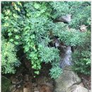 해와달민박 이미지