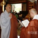 봉은
