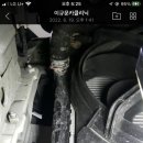 이규문 카클리닉 이미지