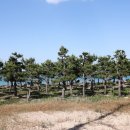 강릉경포씨앤뷰 이미지