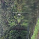 고산낚시터 이미지